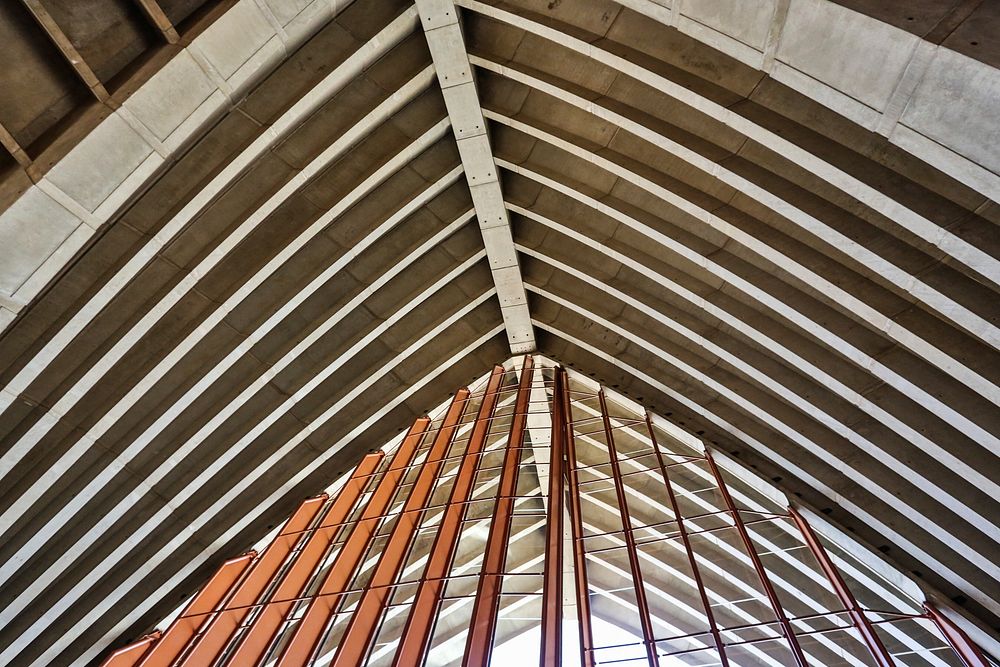 Vault ceiling. Free public domain CC0 photo.