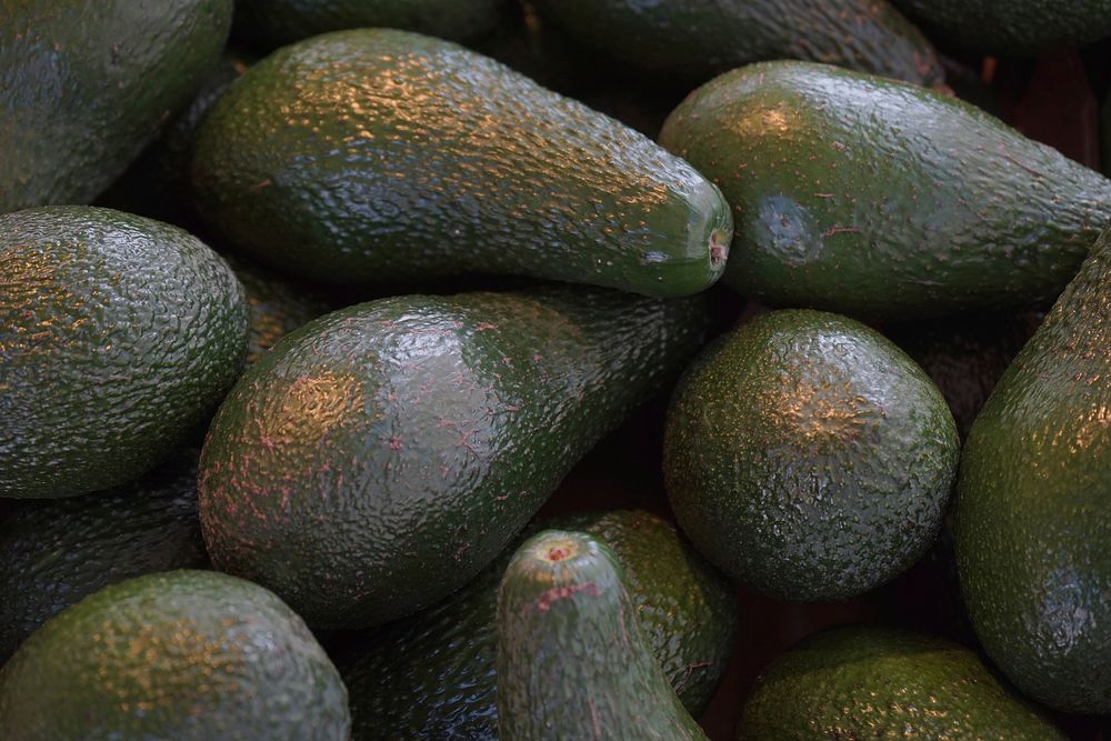 Closeup on pile of fresh avocados. Free public domain CC0 image.