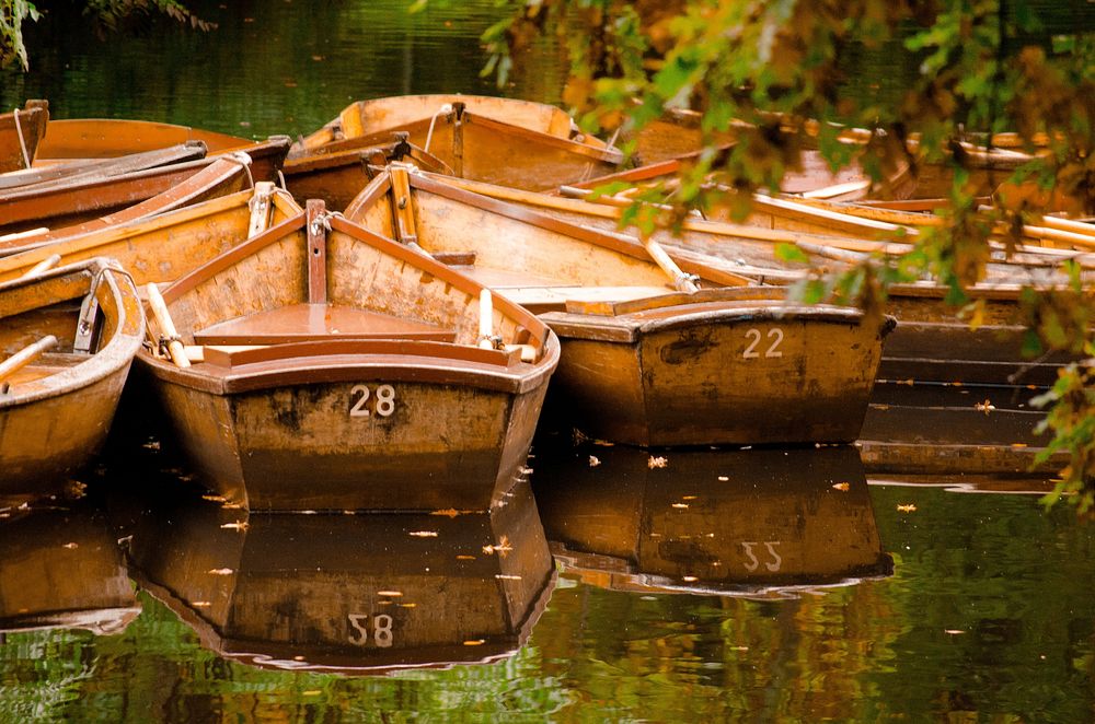 Rowboat in the water. Free public domain CC0 photo.