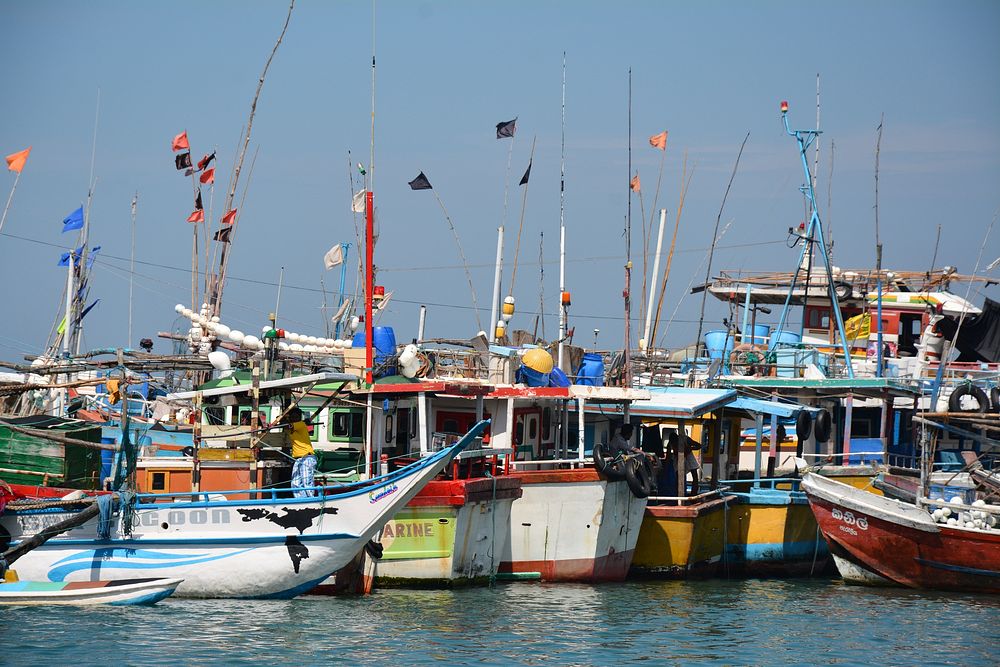 Fishing boats parked together. Free public domain CC0 photo.