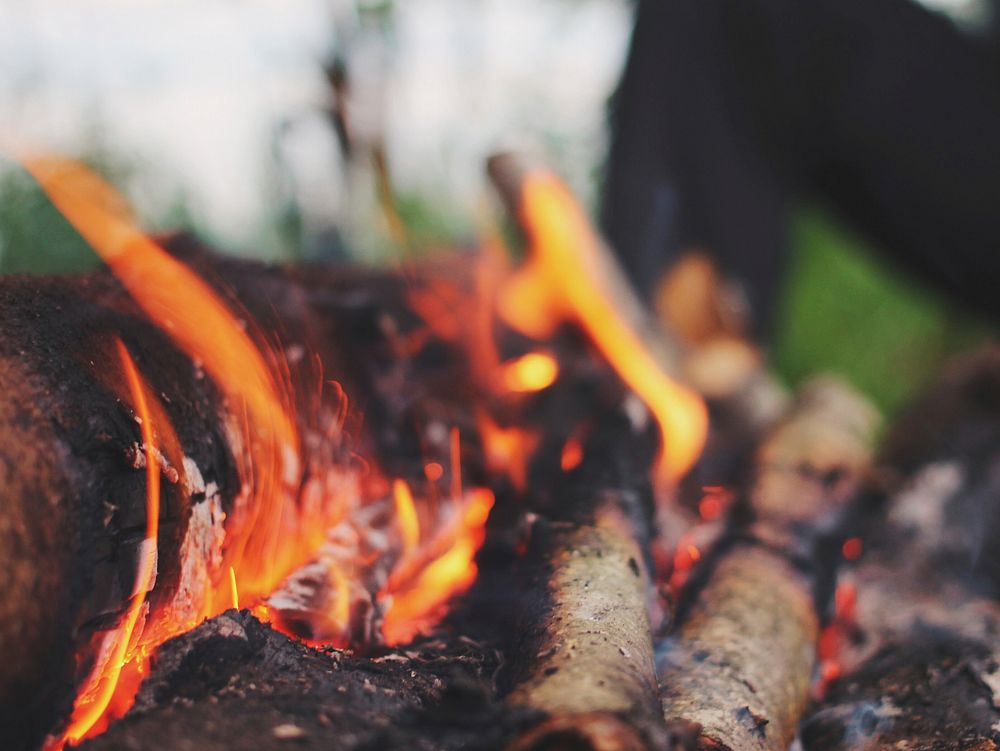Burning fire wood. Free public domain CC0 photo.
