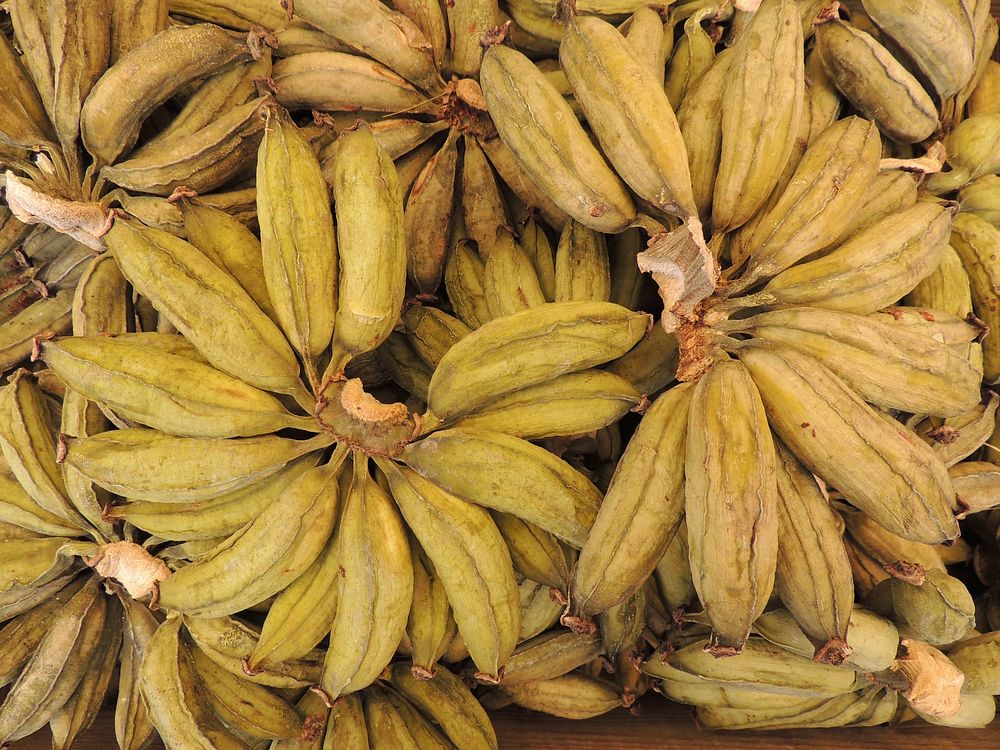 Pile of dry bananas. Free public domain CC0 photo.