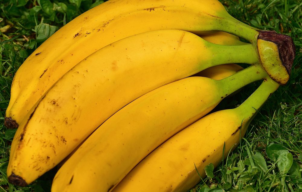 Closeup on bunch of bananas. Free public domain CC0 image.