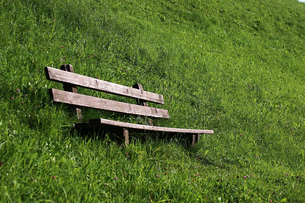Bench on grass field. Free public domain CC0 photo.
