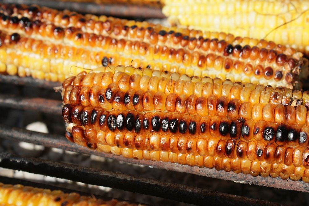 Yellow corn, agrilcultural produce. Free public domain CC0 image