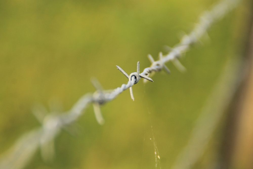 Barbed wire. Free public domain CC0 photo.