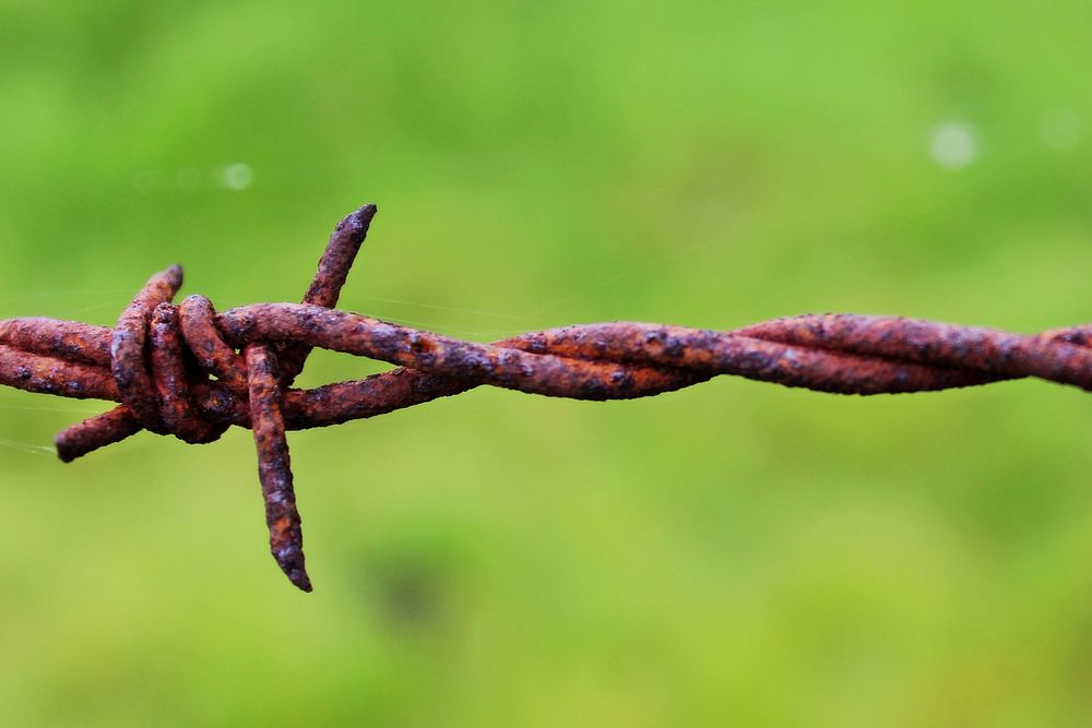 Barbed wire fence, security protection. Free public domain CC0 image