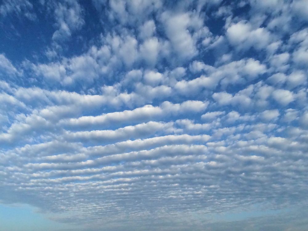 Cirrocumulus of clouds close up. Free public domain CC0 photo.