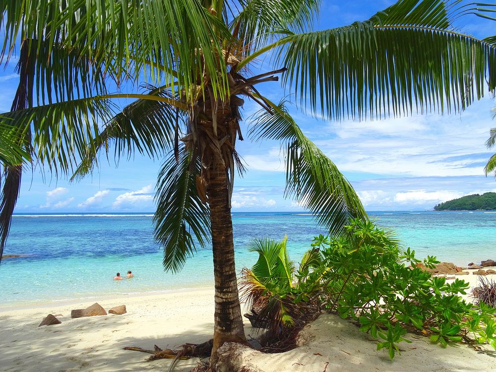 Tropical beach in Seychelles. Free public domain CC0 photo.