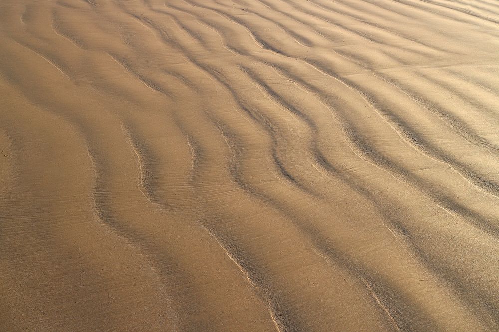 Brown sand texture. Free public domain CC0 photo