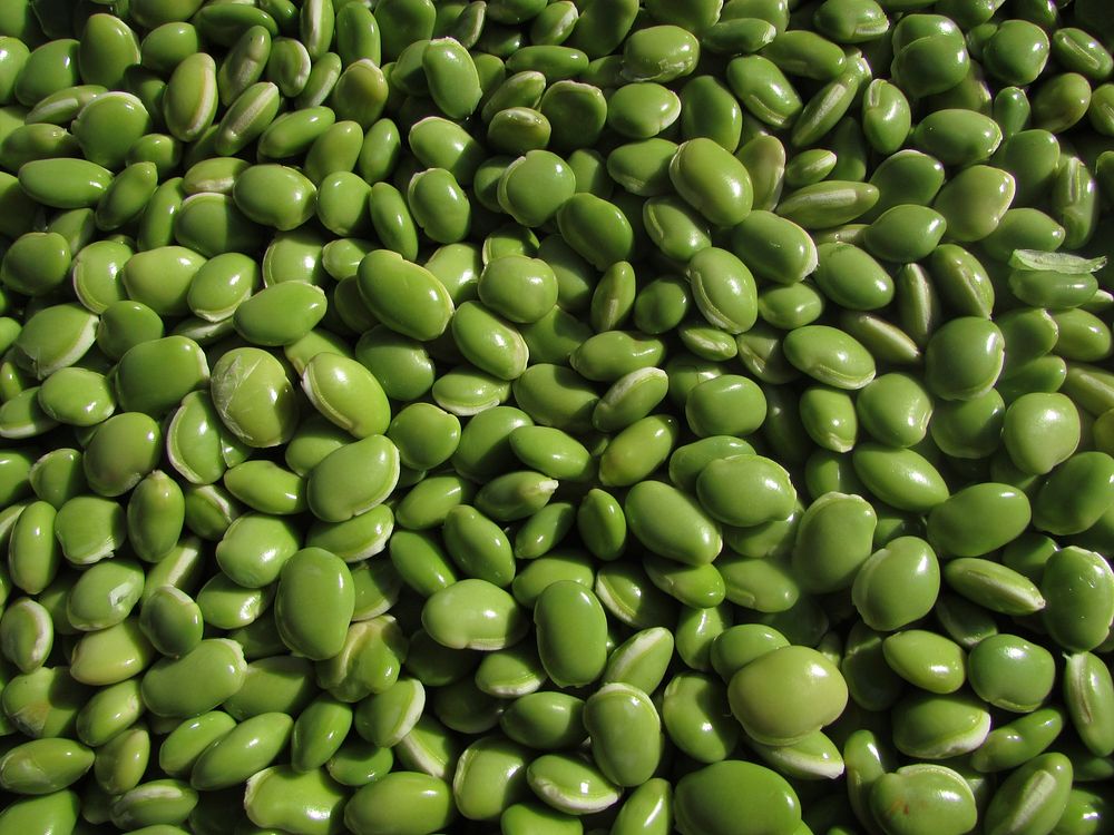 Legume peas. Free public domain CC0 image