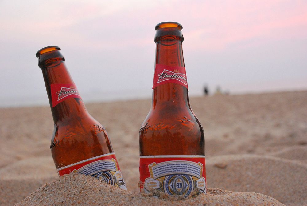 Budweiser beer bottles deep in the sand, location unknown, date unknown