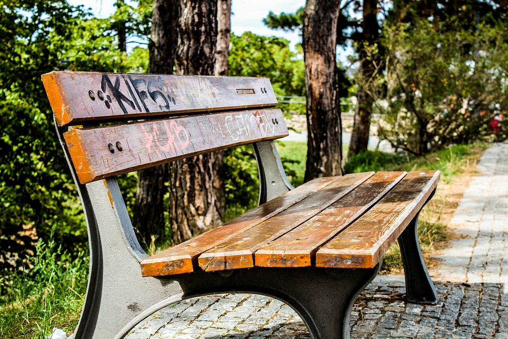 Wooden bench in a park. Free public domain CC0 photo.