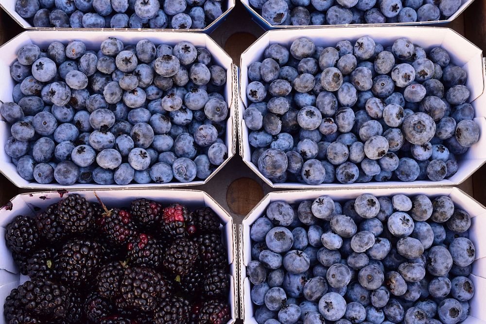 Closeup on blueberries in boxes. Free public domain CC0 photo.