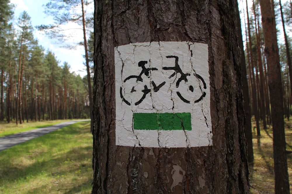 Bicycle sign on a tree. Free public domain CC0 photo.