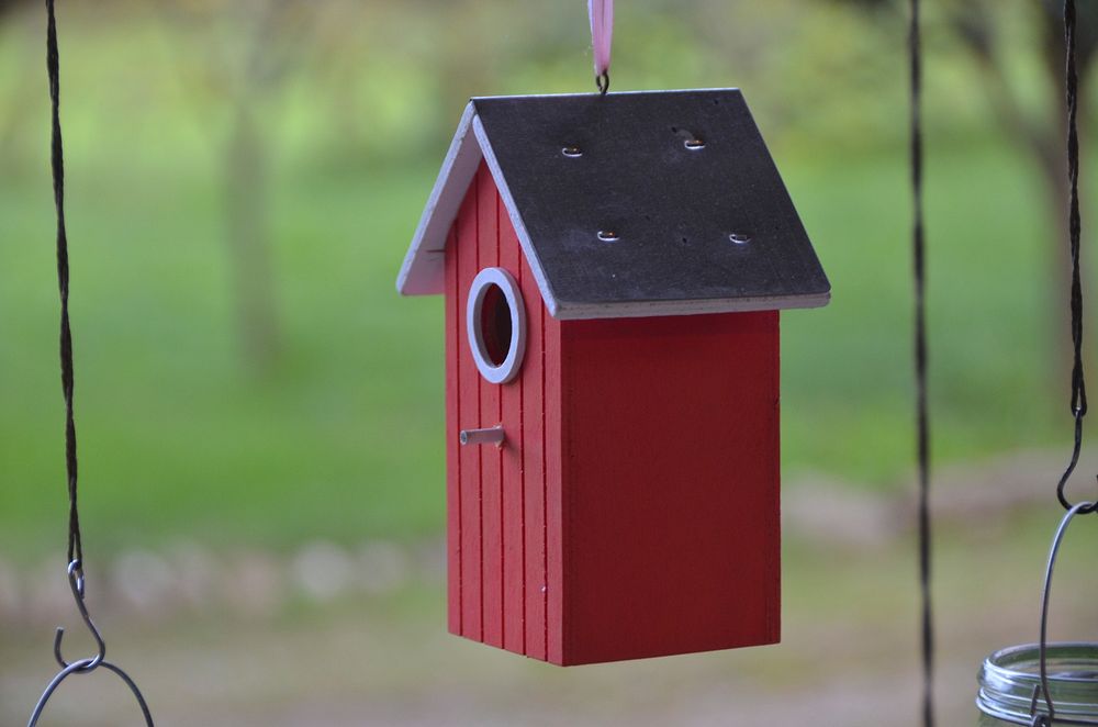 Cute bird house and feeder. Free public domain CC0 photo.