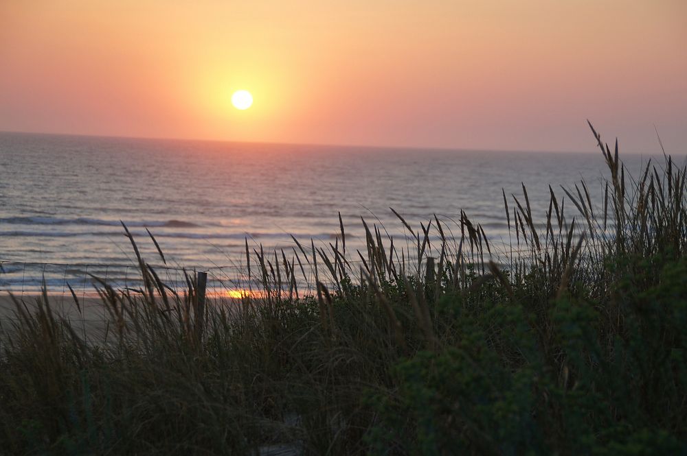 Biscarrosse Atlantic dune beach sunset. Free public domain CC0 photo.