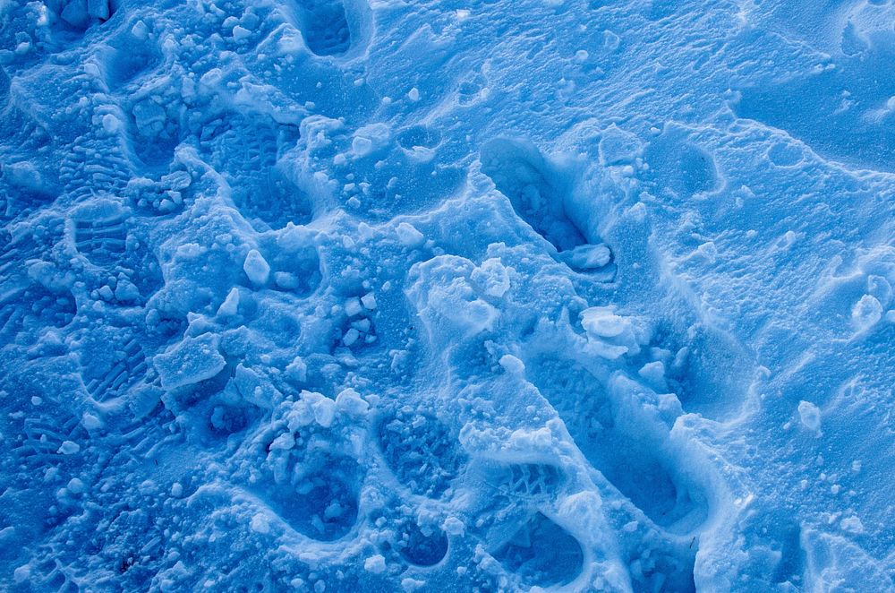 Closeup on ground covered in snow. Free public domain CC0 image. 