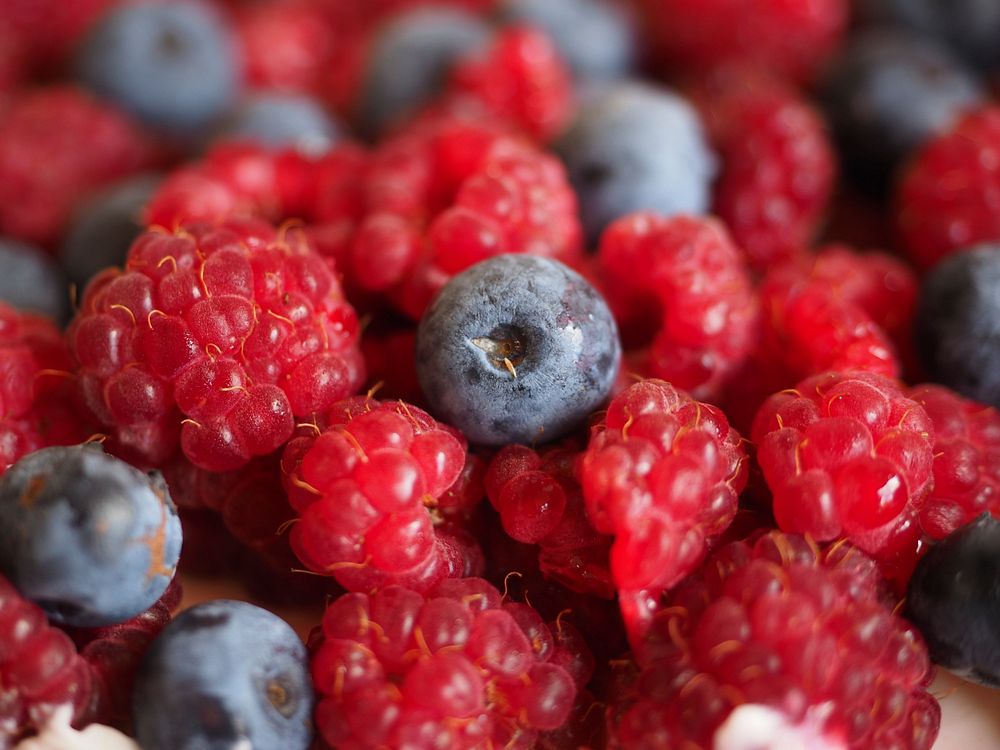 Closeup on mix of berries. Free public domain CC0 photo. 