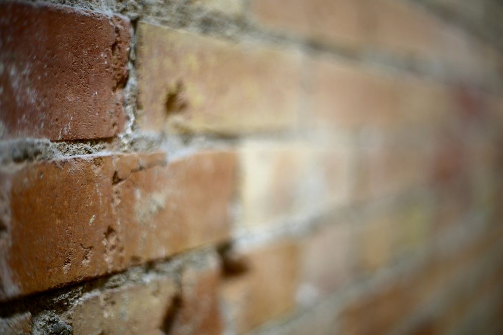 Brick wall texture. Free public domain CC0 photo.