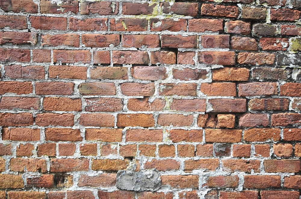 Brick wall texture. Free public domain CC0 photo.