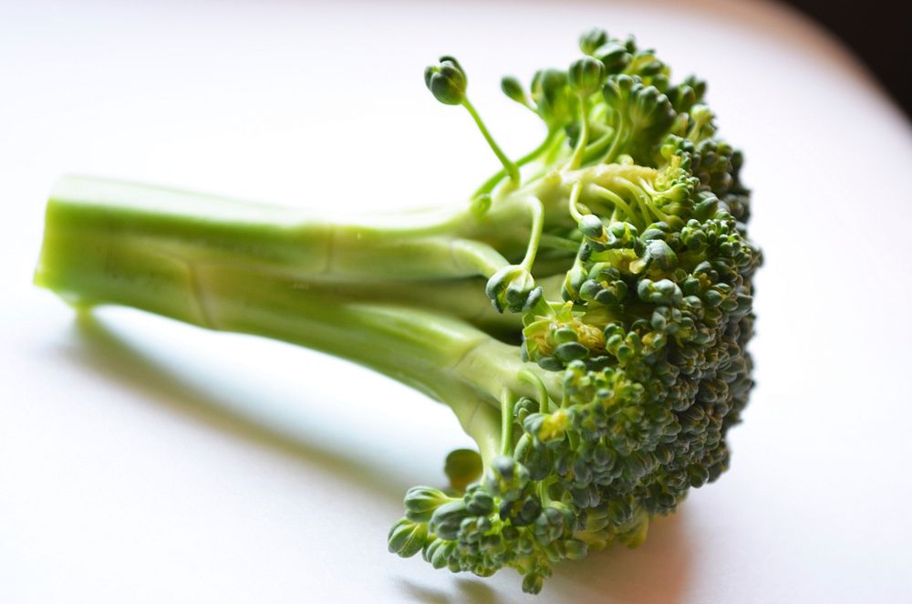 Green Broccoli head. Free public domain CC0 image