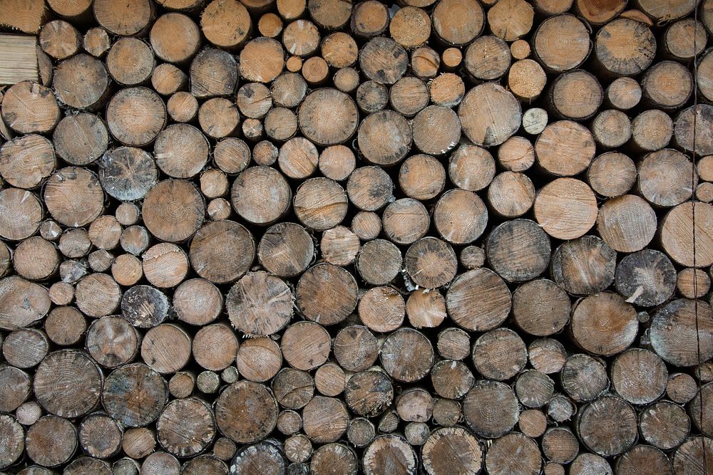 Stack of firewood timber. Free public domain CC0 image