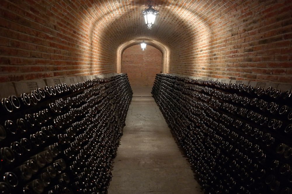 Wine in the cellar. Free public domain CC0 photo.