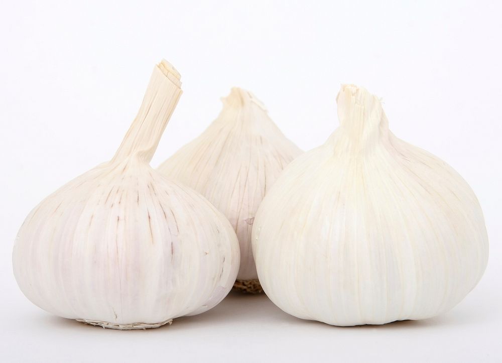 Fresh garlic, organic vegetable. Free public domain CC0 image