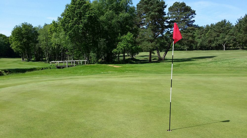 Flag on golf court. Free public domain CC0 image.