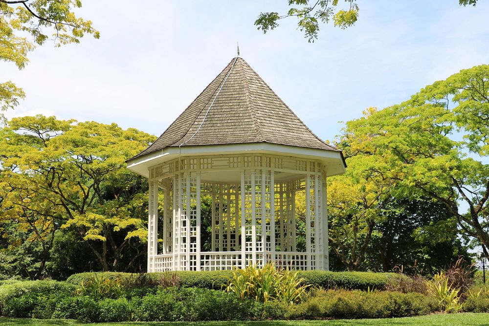 Singapore botanic garden. Free public domain CC0 image