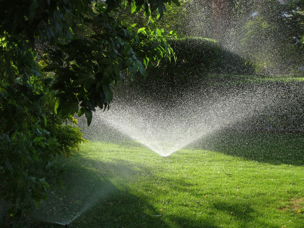 water sprinkler on grass. Free public domain CC0 photo.