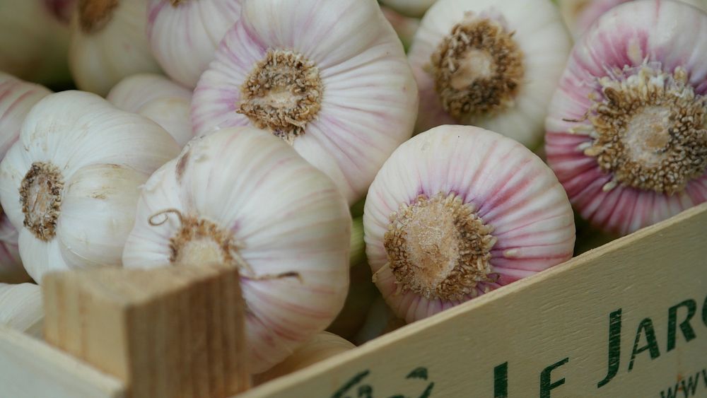 Fresh garlic, farm produce. Free public domain CC0 image