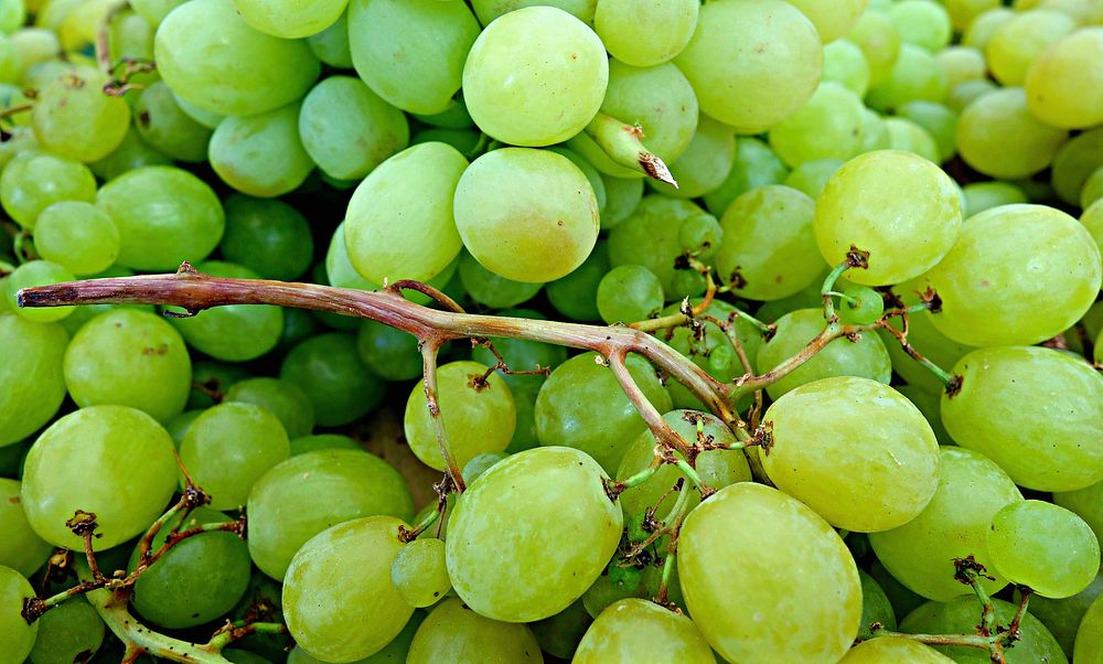 Closeup on green grapes. Free public domain CC0 photo.