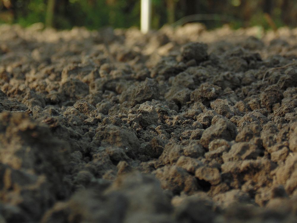 Soil ground close up. Free public domain CC0 photo.
