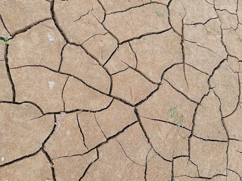 Drought ground. Free public domain CC0 image