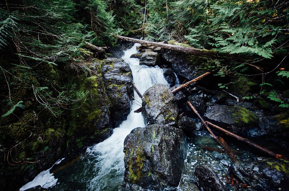 Water streaming down rocks. Free public domain CC0 image.