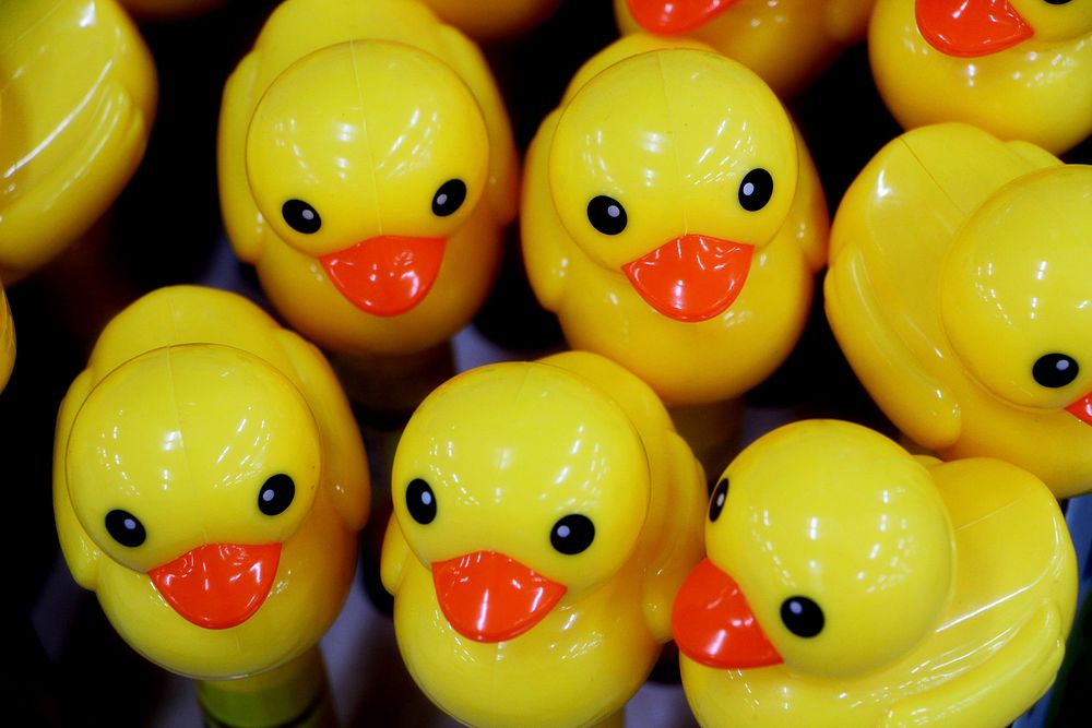 Cute yellow rubber ducks toy. Free public domain CC0 photo.