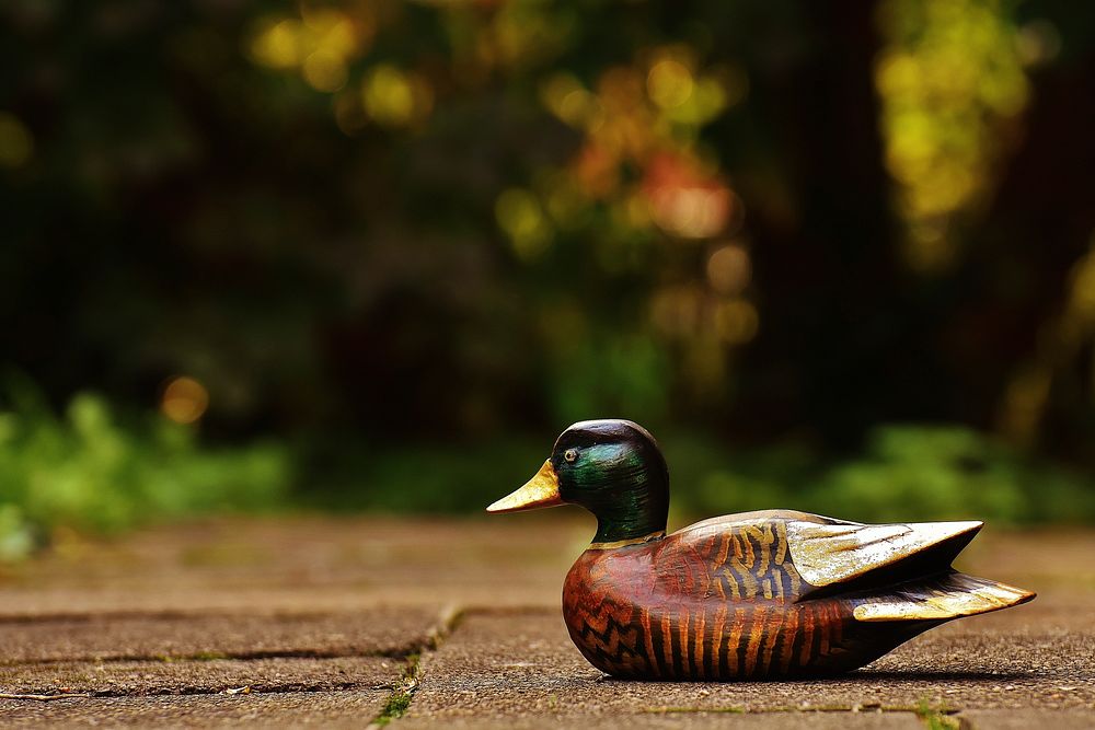 Wooden male mallard duck toy. Free public domain CC0 photo.