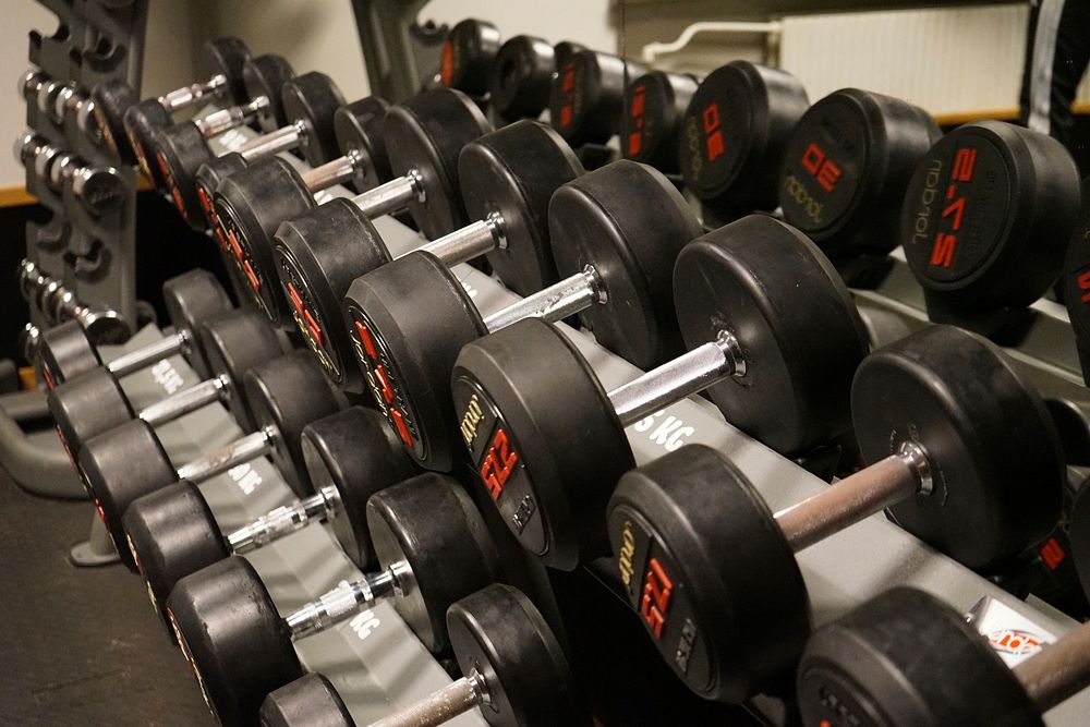 Dumbbells on rack in gym. Free public domain CC0 image. 