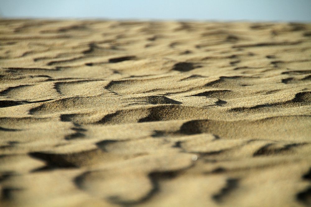 Sand dunes beach. Free public domain CC0 image.