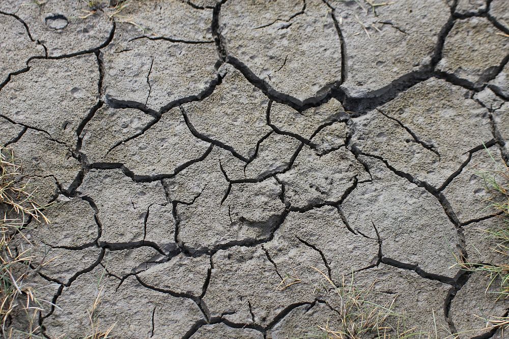 Dried ground, drought area. Free public domain CC0 image.