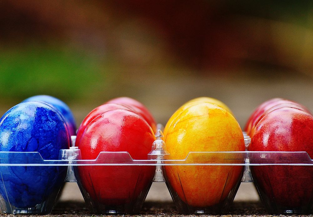 Colorful Easter eggs in carton. Free public domain CC0 image. 