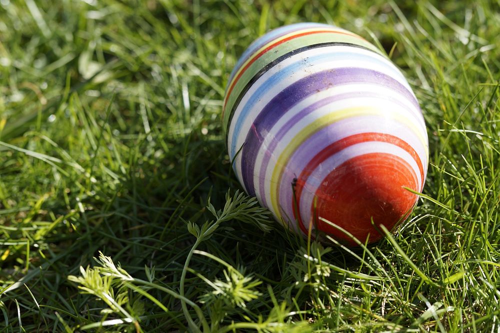 Closeup on painted Easter egg. Free public domain CC0 image.