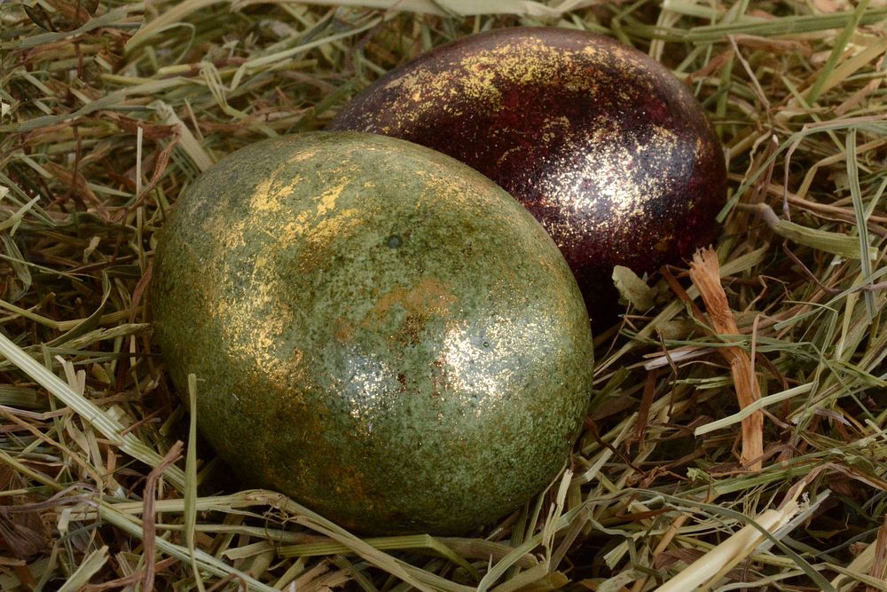 Closeup on Easter eggs in nest. Free public domain CC0 image.