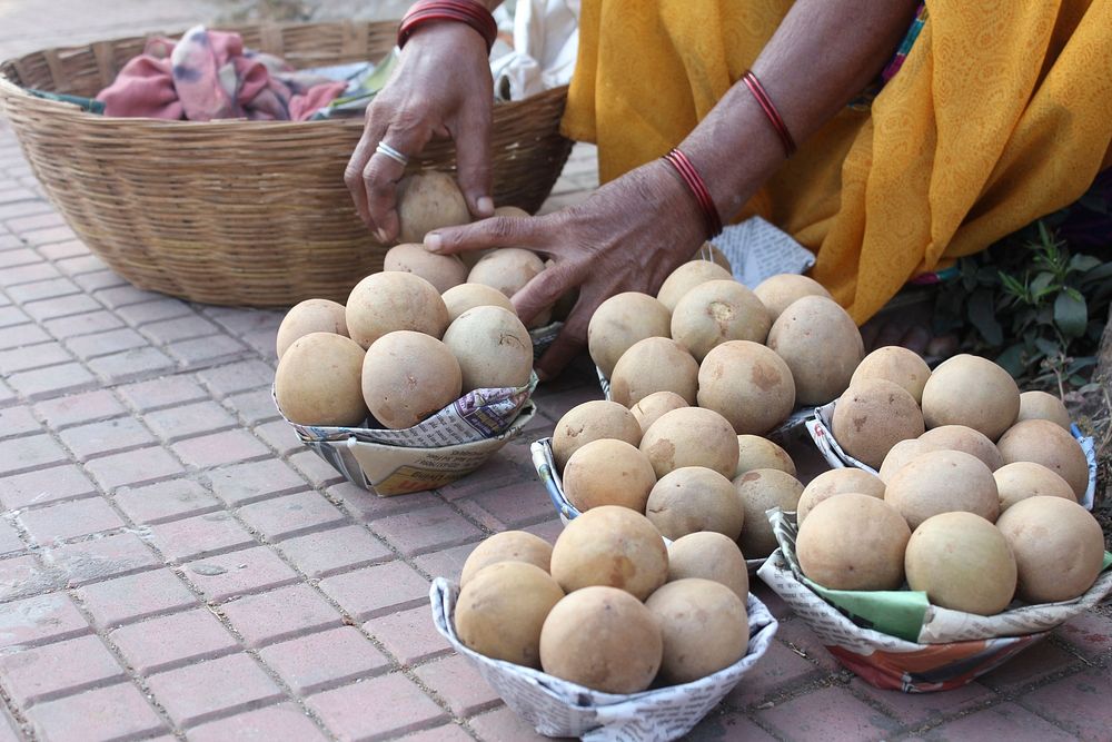 Close up of woman hands putting Sapodilla fruit in baskets on the pavement