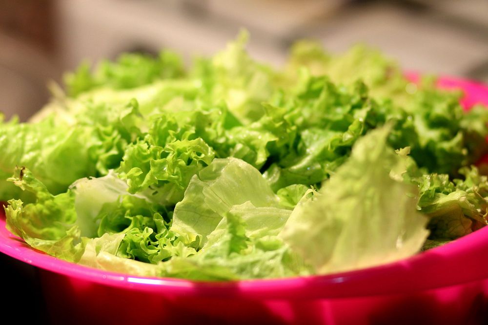 Free lettuce image, public domain food CC0 photo.