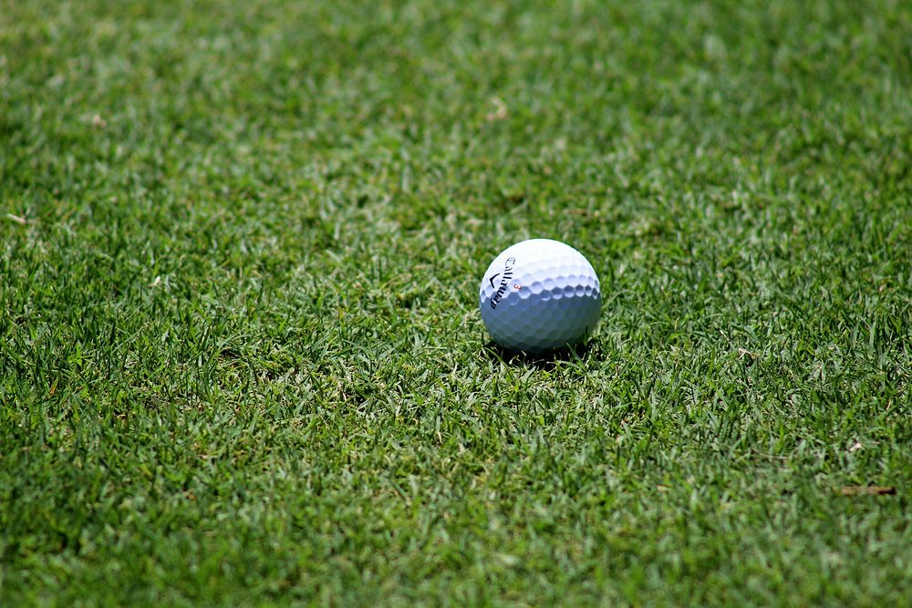 Close up of white golf ball on green grass. Free public domain CC0 photo.