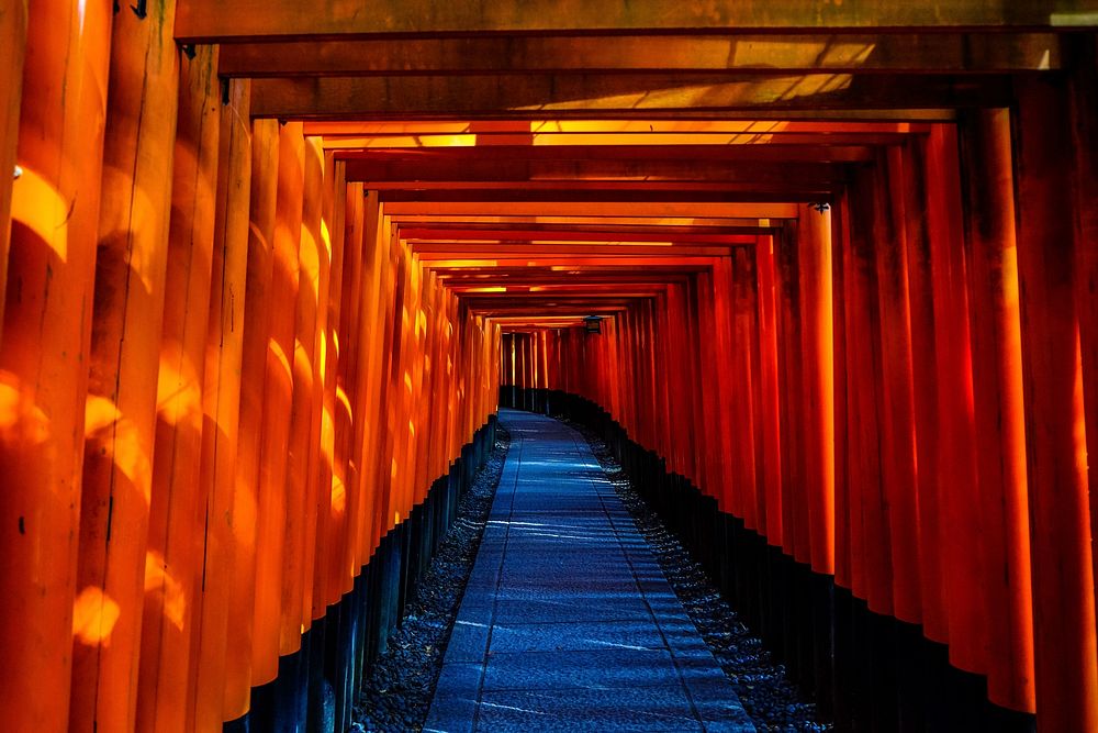 Free tunnel of Torii gates photo, public domain travel CC0 image.