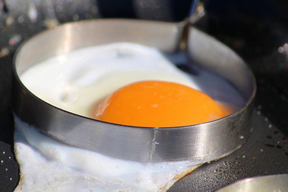 Fried eggs, sunny side up. Free public domain CC0 image